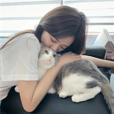 小太阳的梦想